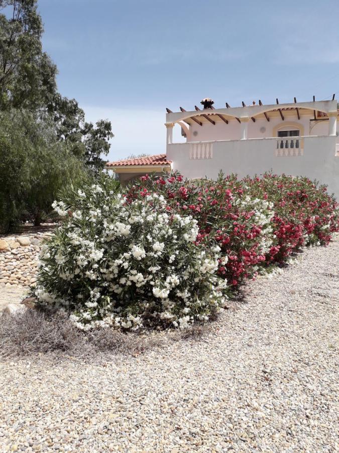 Casa Gregory Villa Turre Exterior photo