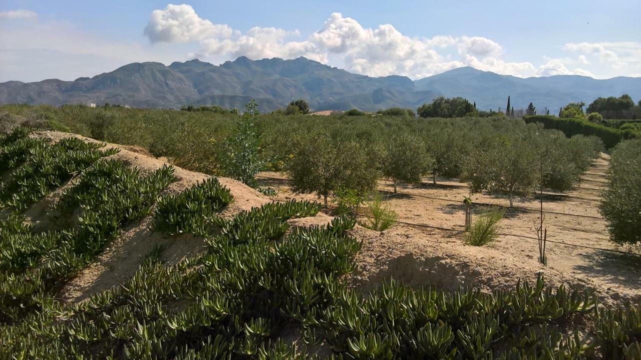 Casa Gregory Villa Turre Exterior photo